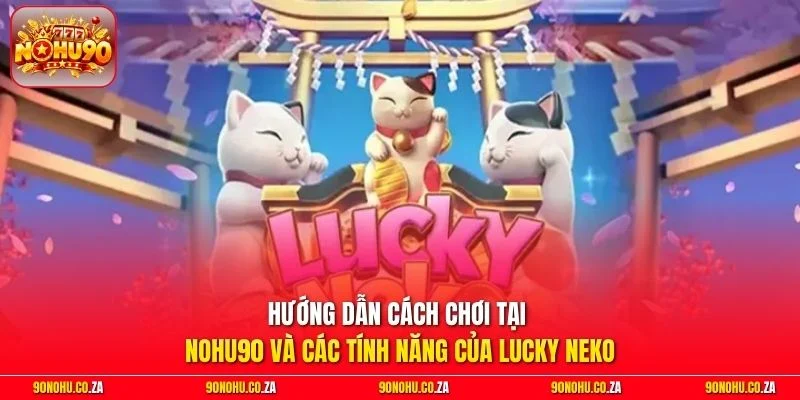 Hướng dẫn cách chơi tại nohu90 và các tính năng của Lucky Neko